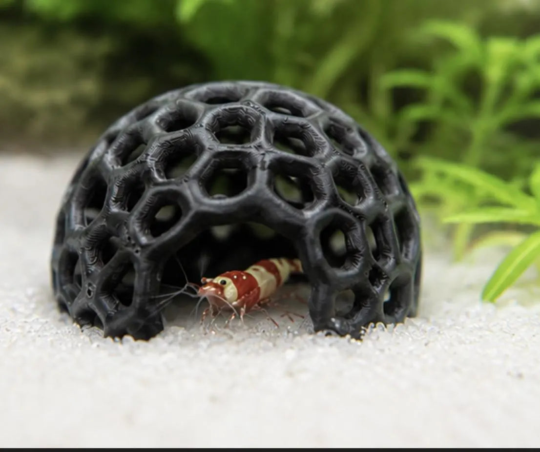 Shrimp Dome Hide — Aquarium Decor for Baby & Molting Shrimp